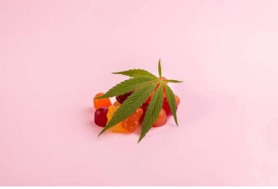 Thc Gummies